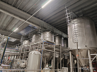 Fermenteur de brassage TONSEN 1000L avec cuve sous pression pour la bière