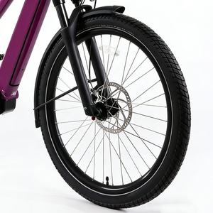 Potente Bicicleta Eléctrica de Carga Industrial DIY OEM con Cuadro de Aluminio, 9 Velocidades 11-38T, para Adultos - Product Image 2