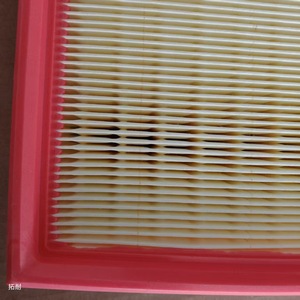 Filtro Aria Little Red Flag 021129620 Griglia Aria CA3399 Elemento C22117 per Auto OLIVER 213*212*58 - Product Image 3