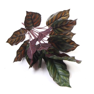 Paesaggio squisito artificiale appeso felce <span class=keywords><strong>in</strong></span> pentola-pianta artificiale realistica per la decorazione interna ed esterna - Product Image 5