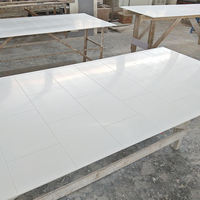 Panneaux de salle de bain personnalisés, imperméables et bon marché pour hôtels Base de douche et murs de douche Panneau mural préfabriqué pour douche