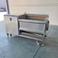 Équipement de nettoyage pommes de terre et gingembre, brosse à légumes racines, machine à laver, machine à éplucher le manioc et le curcuma
