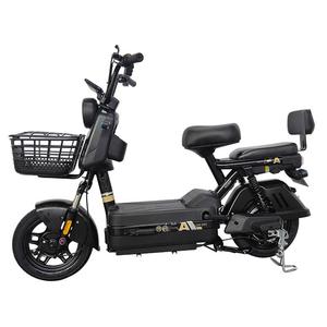Vélo Électrique 20 Pouces Moteur 48V Batterie Chargeur 26 Pouces Kit Double Moteur pour Enfants Rapide Paraguay Prix Inde 1000W 20Ah Vélo Électrique - Product Image 1