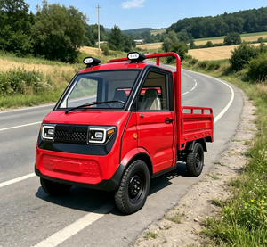 Camioneta Eléctrica <span class=keywords><strong>4x4</strong></span> <span class=keywords><strong>de</strong></span> Alta Velocidad COC L6e 2026, Camión Volquete con Batería <span class=keywords><strong>de</strong></span> Litio <span class=keywords><strong>de</strong></span> 3000W y 105Ah - Product Image 1