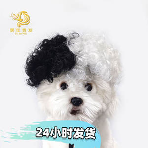 drôle Halloween fête drôle habiller <span class=keywords><strong>Afro</strong></span> Cosplay Costume Cruella De Vil perruque pour animaux de compagnie pour chiens et chats - Product Image 6