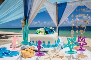 Decoraciones <span class=keywords><strong>de</strong></span> fiesta Centro <span class=keywords><strong>de</strong></span> mesa <span class=keywords><strong>de</strong></span> fieltro Bajo el <span class=keywords><strong>mar</strong></span> Adorno <span class=keywords><strong>de</strong></span> fiesta Caballito <span class=keywords><strong>de</strong></span> <span class=keywords><strong>mar</strong></span> Estrella <span class=keywords><strong>de</strong></span> <span class=keywords><strong>mar</strong></span> Algas marinas Decoración <span class=keywords><strong>de</strong></span> coral - Product Image 4