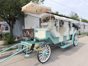 รถม้าไฟฟ้าคุณภาพสูงสำหรับงานแต่งงาน รถม้าเจ้าหญิงสุดหรูแบบสั่งทำพิเศษ 4 ล้อ สำหรับการท่องเที่ยวชมวิว - Product Image 2