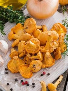 Extracto de <span class=keywords><strong>Cantharellus</strong></span> <span class=keywords><strong>Cibarius</strong></span>/Extracto de Hongo Chanterelle con 10% de Polisacáridos, Suministro de Fábrica con Certificación ISO - Product Image 4