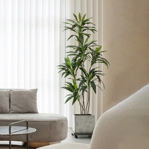Moderna pianta artificiale sempreverde per interni 90cm/180cm finto velluto verde in vaso in legno brasiliano simulato decorazione d'interni-149 - Product Image 1