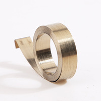 Ressort de défilement en acier inoxydable, ruban à mesurer pour horloge, réinitialiser le ressort hélicoïdal plat, ressort de défilement en métal