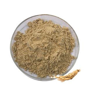 Organik sertifikalı Panax Ginseng özü özü 5%-80% Ginsenosides Ginseng özü tozu - Product Image 1