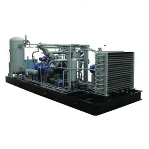 Robust Versatile Low Maintenance Special Gas Compressor for Hydrogen