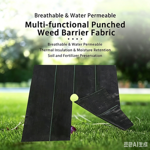Toile de paillage agricole biodégradable en polypropylène, barrière anti-<span class=keywords><strong>mauvaises</strong></span> <span class=keywords><strong>herbes</strong></span>, tissu paysager non tissé noir pour empêcher la croissance de l'herbe - Product Image 1