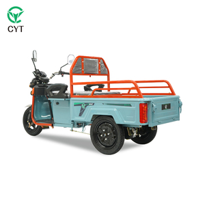 Groothandel op maat gemaakte driewielige elektrische driewieler motorfiets voor volwassenen passagiers - Product Image 3