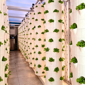 Tour de culture aéroponique et hydroponique personnalisée de 20 pieds, système de culture de légumes, système de contrôle intelligent IoT, technologie IoT intégrée - Product Image 2