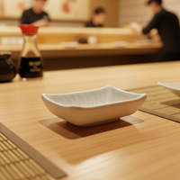 Prix direct usine – Petit plat à sauce réutilisable en mélamine blanche