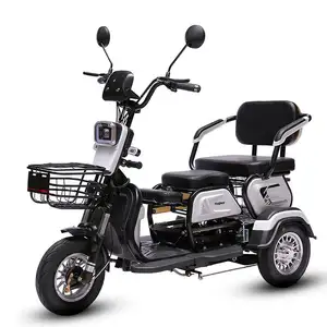 New Style Double Seat Adult 3 Wheel Bicycle Electric Tricycle For Elder