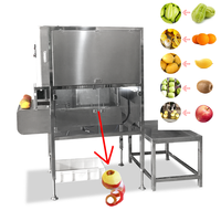 Machine à éplucher les tomates, les carottes, les pommes de terre, le gingembre, les mangues, le manioc, les fruits, les pommes, les poires, les oranges, certifiée CE