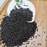 Ldpe/Hdpe/Pp Harga butiran Film kelas peniup hitam bahan plastik Masterbatch