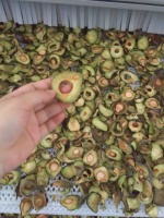 Séchoir à bande maillée automatique personnalisé pour avocats, 30 tonnes, à air chaud, pour figues, papayes, jujubes – Équipement de séchage pour la transformation alimentaire