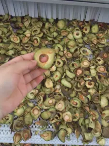 Máquina secadora de cinta de malla de aguacate ODM/OEM Higo Papaya Jujube Equipo de secado de aguacate