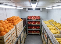 Cámara de maduración de plátanos y cámara frigorífica: Paneles para cámaras frigoríficas tipo walk-in usados en venta o cámara frigorífica comercial para plátanos verdes.