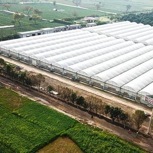 <span class=keywords><strong>Invernadero</strong></span> Sinok Multi Span, <span class=keywords><strong>invernadero</strong></span> de plástico, <span class=keywords><strong>invernadero</strong></span> agrícola con sistema hidropónico para vegetales - Product Image 3