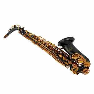 Sassofono Contralto Professionale Cinese con Corpo in Nichel Nero e Chiavi in Lacca Dorata - Product Image 1