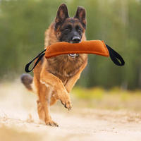Juguete Profesional de Entrenamiento para Perros, Resistente a Mordidas, con Doble Asa y Material de Lino, para Juegos de Arrastrar y Recoger