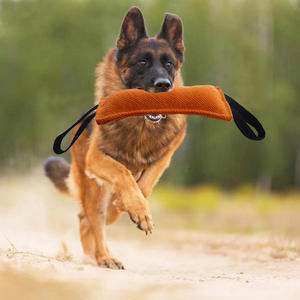 Juguete Profesional de Entrenamiento para Perros, Resistente a Mordidas, con Doble Asa y Material de Lino, para Juegos de Arrastrar y Recoger - Product Image 3