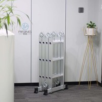 Tabourets d'échelle télescopiques en aluminium de style industriel à 12 marches, extensibles et modernes pour le stockage à l'intérieur et à l'extérieur.