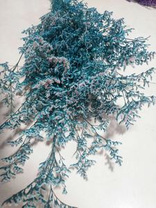 ธรรมชาติ Caspia ดอกไม้ที่เก็บรักษาไว้ <span class=keywords><strong>Limonium</strong></span> - Product Image 2