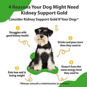 Gouttes liquides personnalisées pour le soutien rénal des animaux de compagnie, formulées avec une mélange d'extraits d'herbes douces pour aider à maintenir la santé rénale des chiens et des chats - Product Image 5