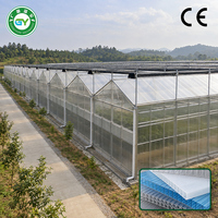 Serre à grande échelle multi-voûtes en plaques de polycarbonate, ensemble complet pour la production agricole intensive