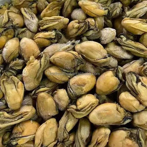 Ostreidae1KG หอยนางรมสีทองอบแห้งอาหารทะเลเนื้อหอยสีทองเกลือต่ำไร้ทรายธรรมชาติแสงอาทิตย์ตากแห้ง - Product Image 2