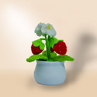 Nouvellement conçu auto-fait au crochet avec de la laine Creative Tricoté Mini-taille Pots de plantes mignons et encourageants positivement