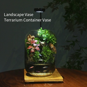 Hydro ponic Glass Desktop Moos Mikro landschaft <span class=keywords><strong>Terrarium</strong></span> Pflanzen topf Glas <span class=keywords><strong>Ornament</strong></span> für Home Office Dekoration Pflanze <span class=keywords><strong>Terrarium</strong></span> Vase - Product Image 5