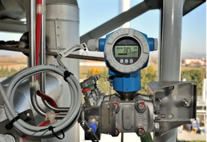Capteur de niveau différentiel intelligent Endress+Hauser Deltabar PMD75 4-20mA HART IP68 en acier inoxydable 316L - Product Image 2