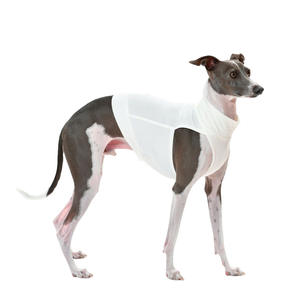 प्यारा ठोस पॉलिएस्टर आकस्मिक पर्यावरण के लिए गर्म त्वरित-शुष्क सांस लेने योग्य खेल - Product Image 2