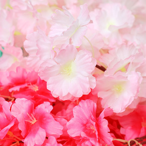 Ramas de Flores de Cerezo Artificiales de 30cm-100cm, Flores de Seda y Plástico de Alta Simulación, Ramo para Decoración de Interiores y Bodas - Product Image 2