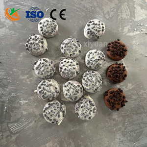 Nueva Máquina Industrial Automática de Alta Productividad para Recubrimiento de Chocolate en Tabletas, Galletas, Nueces y <span class=keywords><strong>Donuts</strong></span> - Product Image 6