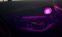 Nueva Luz de Techo Starlight con Efecto de Color Dinámico para Puerta de Coche, Luz de Cielo Estrellado para Puerta, Fibra Óptica de 0.5mm para Techo y Puerta de Coche