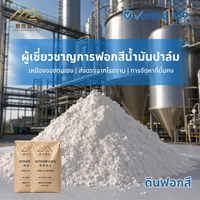 Terre décolorante activée à action rapide supérieure, norme ISO9001 Halal Kosher de Chine pour le blanchiment de l'huile brute de palmiste