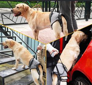 Perlengkapan hewan peliharaan aksesoris cedera sendi orang tua dan Arthritis membantu anjing penopang <span class=keywords><strong>Harness</strong></span> anjing Lift <span class=keywords><strong>Harness</strong></span> kembali kaki hewan peliharaan <span class=keywords><strong>Harness</strong></span> - Product Image 3
