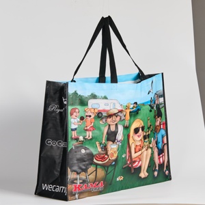 Quá khổ gấp PP dệt tái sử dụng tái chế Túi tote tùy chỉnh mô hình hoạt hình không dệt xử lý tùy chỉnh màu sắc logo cho - Product Image 2