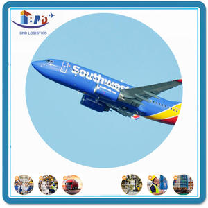 Professionale mare e trasporto aereo cina al brasile USA agente di spedizione sdoganamento porta a porta servizio di consegna DDU - Product Image 3