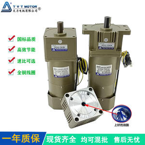 Moteur TVT Tianli à alimentation directe, sur mesure, monophasé 220V, à vitesse réglable, pour agneau entier rôti, inclus - Product Image 5