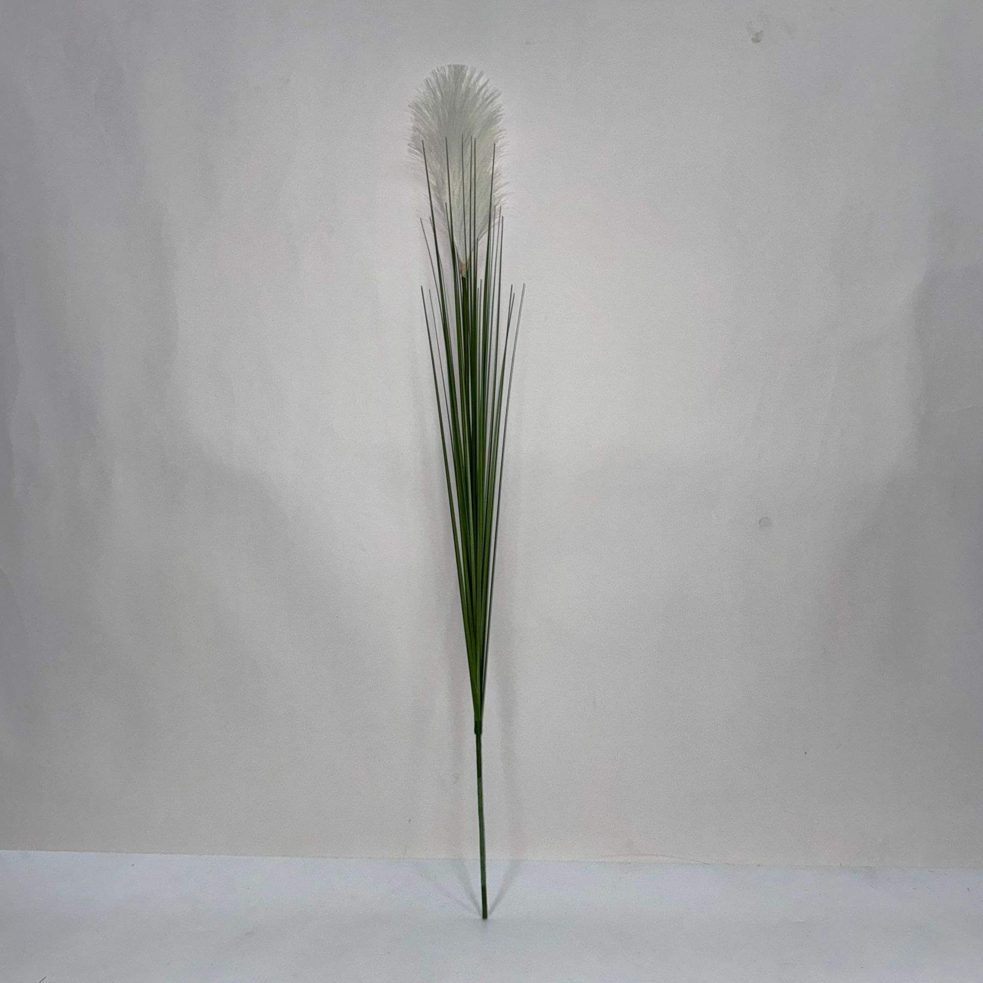 Green pure white 102cm single head reed