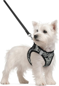 Custom Dog Harness With Leash Set Fast Drying Puppy Vest Adjustable Leash Reflective Stripes <b>Step</b>-In Breathable Mesh Dog Harness - Product Image 3