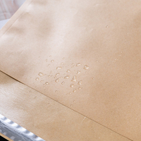 Bolsa de Envío Ecológica de Papel Kraft con Adhesivo Fuerte para Ropa, Camisetas y Embalaje de Regalos Minimalista al por Mayor